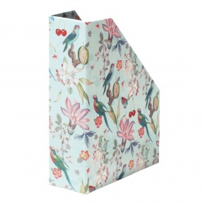 Rössler iratpapucs (8 cm) trópusi, Costa Rica (6)