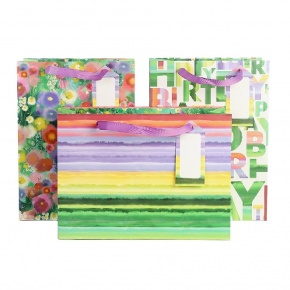 Artebene ajándéktasak (30x22x11 cm, fekvő) színes csíkos (6)