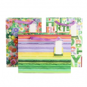 Artebene ajándéktasak (22x30x11 cm) Happy Birthday, zöld feliratos (6)