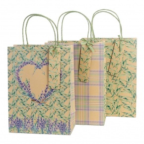 Artebene ajándéktasak (22x30x11 cm) kraft, zöld levélmintás (6)