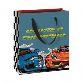 Stewo ajándéktasak (18x8x21 cm) versenyautós Schorsch (6)