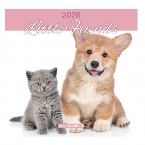 Lizzy Falinaptár lemez nagy 2026 Little friends