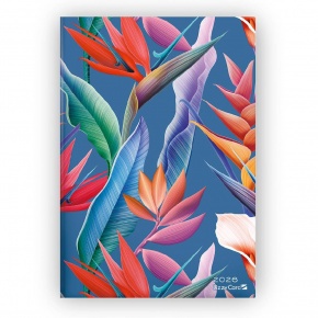 Lizzy heti tervező, B5 design, 2026, CALLA LILLY