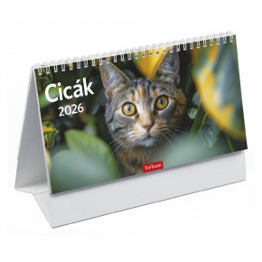 TopTimer T058 Álló asztali naptár 2026, CICÁK