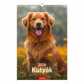 TopTimer Falinaptár 2026, T094 KUTYÁK