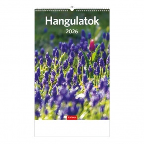 TopTimer Falinaptár 2026, T094 HANGULATOK