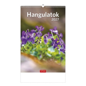 Top Timer Falinaptár 2027, T094 HANGULATOK