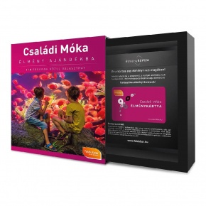 Feldobox élménycsomag, Családi Móka
