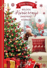 Cardex Üdvözlőlap G árkód Karácsonyi 50KAR070 (WEB)