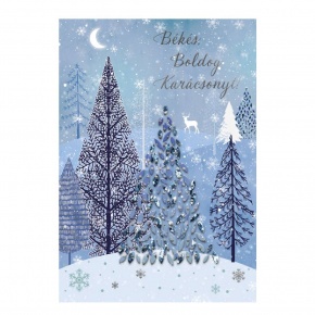 Üdvözlőlap "E" árkód, Téli táj kék-ezüst