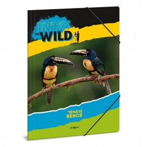 Ars Una A4 Gumis mappa Máté Bence - toucan (5165) 22