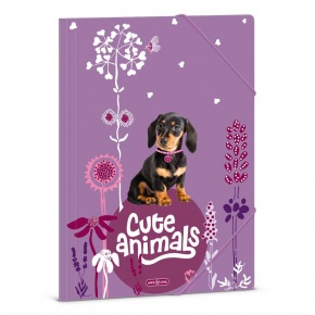 50213696 Ars Una A4 Gumis mappa Cute Animals-puppy (5369) 24