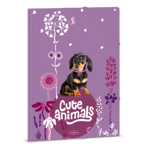 Ars Una A4 Gumis mappa Cute Animals-puppy (5369) 24