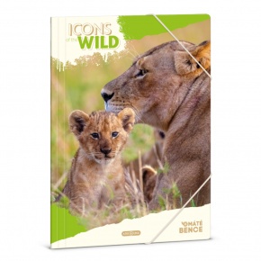 Ars Una A4 Gumis mappa Icons of the Wild-Lions (5504) 25