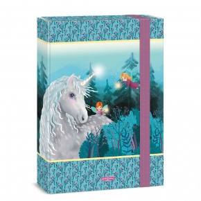 50852581 Ars Una A4 füzetbox Stardust (5258) 23