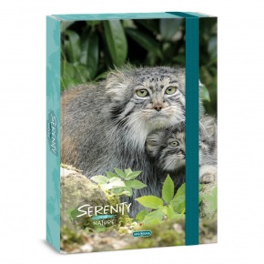 Ars Una A4 füzetbox Serenity-manul (5331) 23
