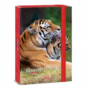 Ars Una A4 füzetbox Serenity-tiger (5332) 23