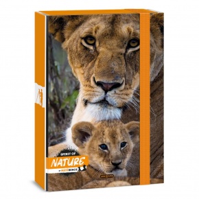 Ars Una A4 füzetbox Máté Bence-Lion (5433) 24