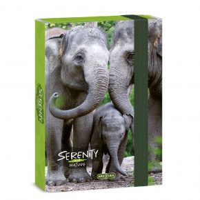 50863334 Ars Una A5 füzetbox Serenity-elephant (5333) 23