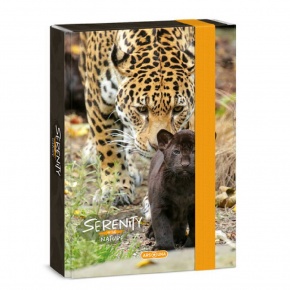 Ars Una A5 füzetbox Serenity-jaguar (5334) 23