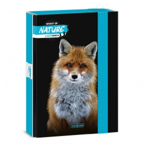 Ars Una A5 füzetbox Máté Bence-Fox (5388) 24