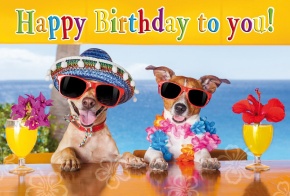 BSB képeslap Happy Birthday kutyák koktéloznak (51-0759)