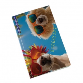 5313-69 Reálszisztéma Diáknaptár 2026/2027 heti beosztású naptár, summer