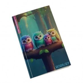 5313-71 Reálszisztéma Diáknaptár 2026/2027 heti beosztású naptár, bagoly