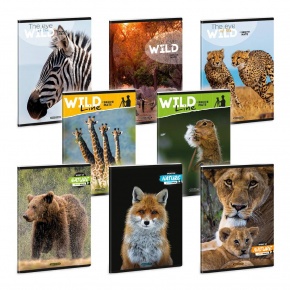 Ars Una A5 extra kapcsos füzet szótár Máté Bence-mix (5449) 24