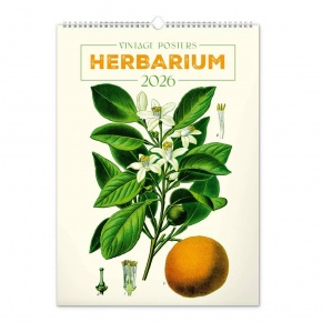 6094-HE Reálszisztéma Falinaptár Vintage Posters – Herbarium 33 × 46 cm (2026)