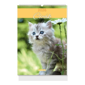 LIZZYCALENDAR FALINAPTÁR B4 SPIRÁL CICÁK