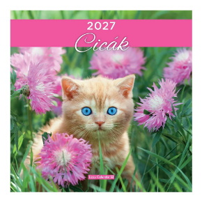 LIZZYCALENDAR FALINAPTÁR LEMEZ NAGY 29x29 CICÁK