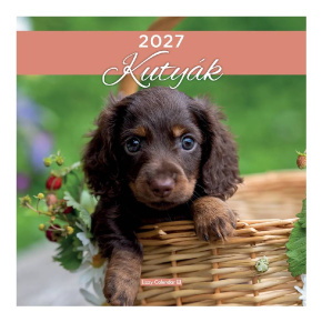 LIZZYCALENDAR FALINAPTÁR LEMEZ NAGY 29x29 KUTYÁK