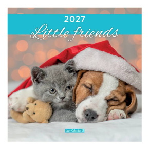 LIZZYCALENDAR FALINAPTÁR LEMEZ NAGY 29x29 LITTLE FRIENDS