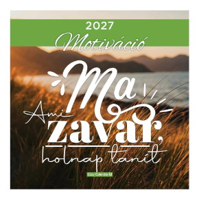 LIZZYCALENDAR FALINAPTÁR LEMEZ NAGY 29x29 MOTIVÁCIÓ