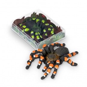 Trendhaus radír, madárpók 2 féle