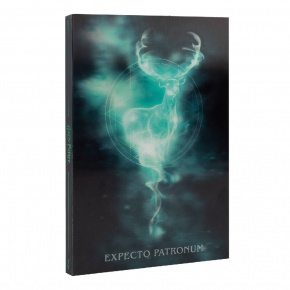 Grupo Erik 3D notesz (A5), Harry Potter