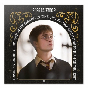 Grupo Erik falinaptár (30x30 cm), 2026, Harry Potter