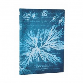 Paperblanks butikkönyv, Anna Atkins’ Cyanotypes, Sea Flowers, Midi, von. MEGSZ.