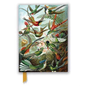 FTNB311 BSB Notesz (A5, vonalas) Ernst Hackel: Kolibris (5)