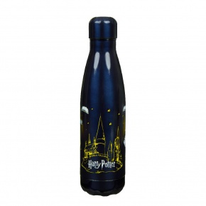Scooli rozsdamentes acél kulacs (500ml), Harry Potter