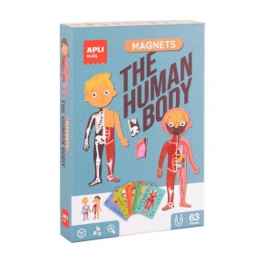 Miquelrius kreatív mágneses kirakó szett, 63 db mágnessel, Emberi test (6)