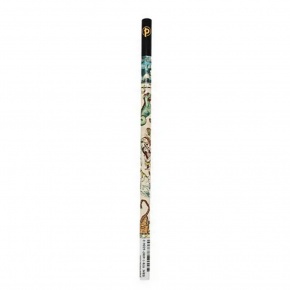 Paperblanks grafitceruza, Celestial Planisphere
