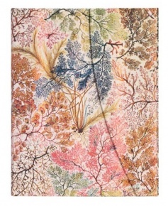 Paperblanks Butikkönyv, Ultra, vonalas, William Kilburn Anemone