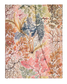 Paperblanks Butikkönyv, Ultra, vonalas, William Kilburn Anemone
