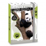 Ars Una A5 füzetbox Cuki-Panda (5104) 21