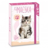 Ars Una A5 füzetbox Cuki-macska (5106) 21