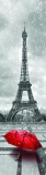 Mapcards 3D könyvjelző (21x5,5 cm) Paris in red