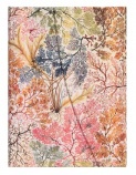 Paperblanks Butikkönyv, Midi, vonalas, William Kilburn Anemone