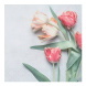 Stewo szalvéta (3-rét. 33x33 cm) tulipános, Flora (6)